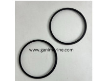 Rauma Brattvaag Shaft Seal Set for M4185 motor