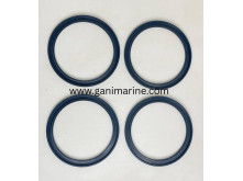 Rauma Brattvaag Shaft Seal Set for M4185 motor
