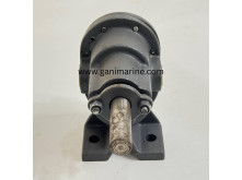 foot-mounted Rotary Gear Pump