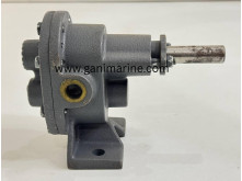 foot-mounted Rotary Gear Pump