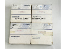 Rauma Brattvaag Shaft Seal Set for M4185 motor
