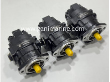 Casappa Polaris PHM20.27,8L5-50S1-LGE/GE-N-EL-D Hydraulic Gear Motor. 0197003E