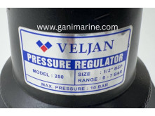 Veljan 250 Pneumatic Pressure Regulator