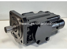 RICKMEIER R65/500 FL-Z-DB-SO gear pump
