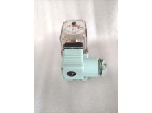 OVAL VALVE OPEN SHUT INDICATOR LPI45B10 (154cc)