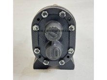 foot-mounted Rotary Gear Pump