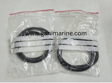 Rauma Brattvaag Shaft Seal Set for M4185 motor