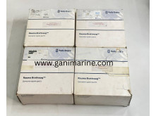 Rauma Brattvaag Shaft Seal Set for M4185 motor