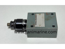 Uchida-Rexroth DBDS 6 P - A0 / 100 Pressure Relief Valve