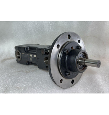 BRINKMANN FFS 250-KBT5-N SCREW PUMP
