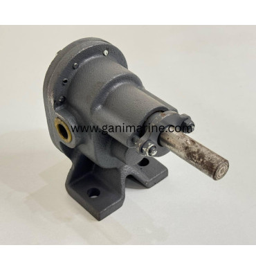 foot-mounted Rotary Gear Pump