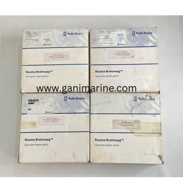 Rauma Brattvaag Shaft Seal Set for M4185 motor