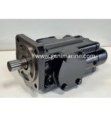 RICKMEIER R65/500 FL-Z-DB-SO gear pump