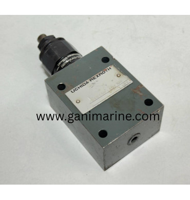 Uchida-Rexroth DBDS 6 P - A0 / 100 Pressure Relief Valve